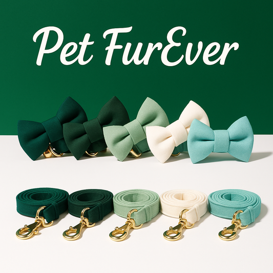 Velvet Cat Collar & Leash Set – Soft Bow Tie Collar with Bell for Cats & Small Dogs
