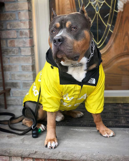 All-Weather Dog Jacket – Waterproof, Windproof & Stylish for Small to Large Dogs
