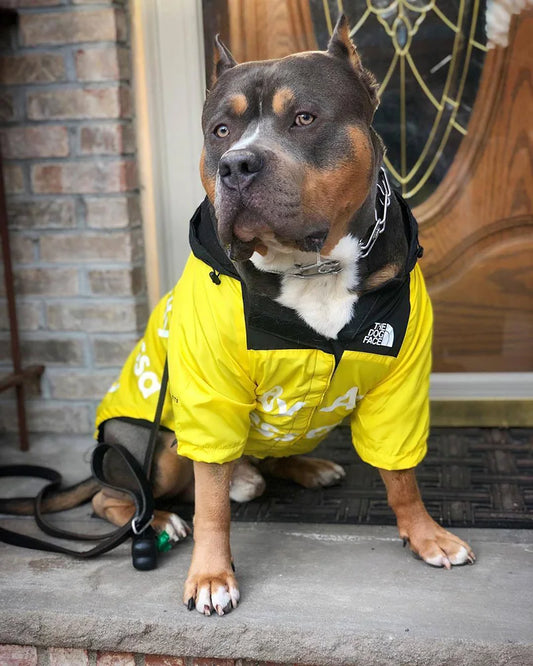 All-Weather Dog Jacket – Waterproof, Windproof & Stylish for Small to Large Dogs