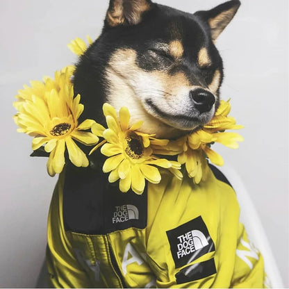 All-Weather Dog Jacket – Waterproof, Windproof & Stylish for Small to Large Dogs